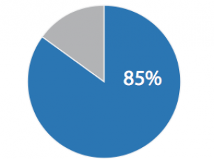 Internetnutzer > 85% Grafik 85 %